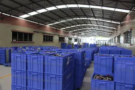 存量超20亿部，废旧手机为何难以“物尽其用”？图片