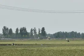 农业大县的财政缺口：如何补偿粮食主产区利益?图片