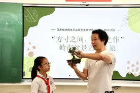 观荔湾盆景专类植物展，体验一场岭南盆景艺术之旅图片