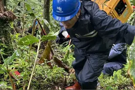 南方电网公司投入“重装重兵”，争取独龙江受灾地区早日实现“村村通、户户亮”图片