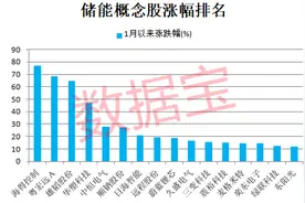 储能新利好，十大趋势“蓄”势待发！这些绩优概念股砸出“深坑”图片
