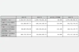 去年扭亏的蓝黛科技收阴线 马鞍山国资拟13.48亿入主图片