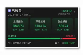 全A股第一名！冲击纪录图片