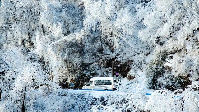 错过等一年！这个冬天，来嵩县“嗨皮”一圈！
