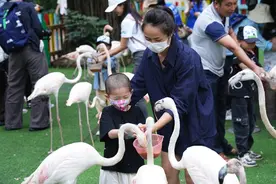 广州泰和肿瘤医院举办公益活动，带“泰”阳小使者欢度儿童节图片