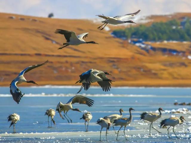 【你好·昭通】遇见大山包