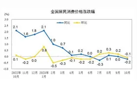 20省份10月CPI同比下降，未来走势如何？专家：明年开春或重回温和上行区间图片