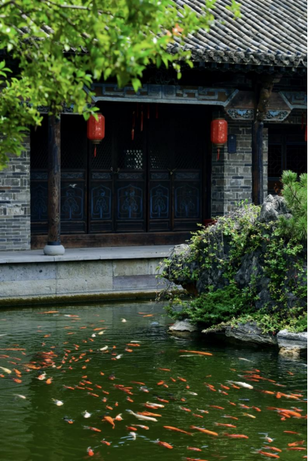 春游江淮请您来｜春日阜阳 展开皖北文旅新画卷