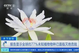 最新报告显示：全球约77%未知植物物种已面临灭绝危险！图片