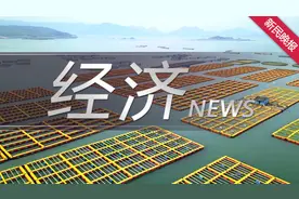 划重点，外牌旧车也能在上海申请补贴了！上海加力支持汽车置换更新图片