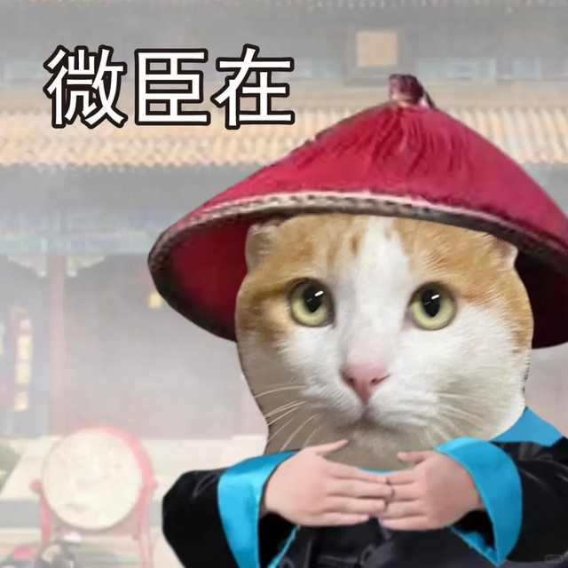 11月12日开启,就在南山!