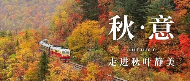 关于征集有意向参与“惠游浑江”高铁配套优惠活动商家的公告