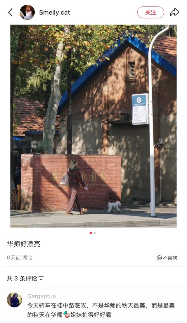 最好的秋天，在华师！