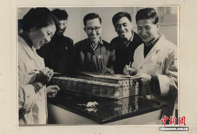 中国科学院举办纪念人工全合成结晶牛胰岛素60周年专场活动