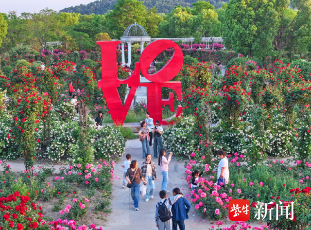 “五一”玩转南通！山水花海、非遗艺术、亲子趣玩一站式打卡