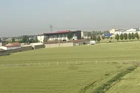 全力打好“三夏”这一仗图片