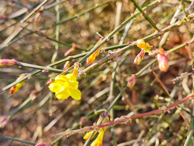 北京号最精彩 | 颜值拉满！京郊“雪乡”承包您的冬日快乐