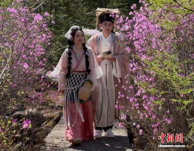 “中国林都”伊春：火山岩上杜鹃花开 “撞色”美景醉游人