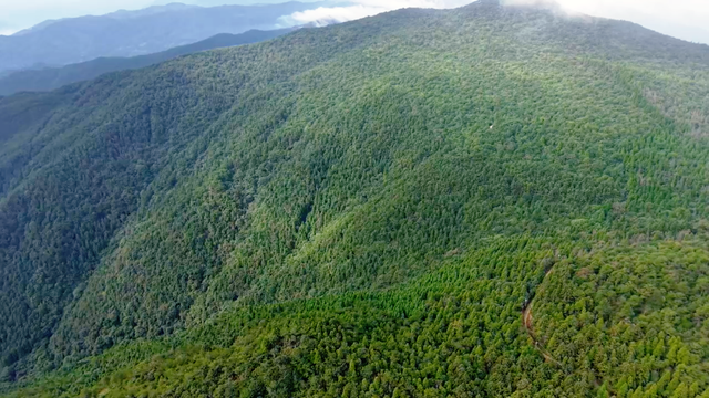 免费开放！闽清秋日生态游绝佳打卡地→