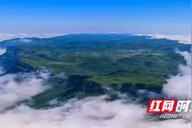 美丽湖南丨湘西州龙山县：八面山上的“生态旅游+农业”图片