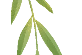 蚂蚁堆乡：小小劳动者 萌娃庆五一图片