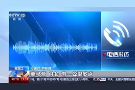 野生东北豹结伴而行 横穿小路时被乡村投递员抓拍图片