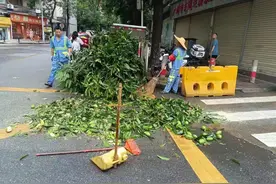 广州白云三元里街：深耕民生“微实事”，提升宜居“大幸福”图片