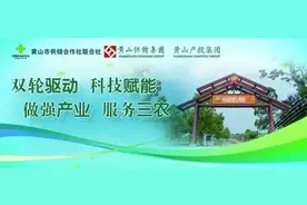 黄山一地公开招引急需紧缺人才！图片