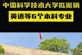 当光环开始褪色，大学英语专业出路何在？ | 新京报专栏图片