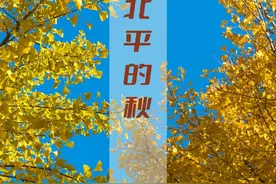美文 | 北平的秋图片