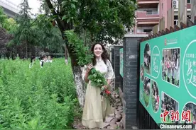 割艾草、做香囊……波兰“洋弟子”端午闻香识“艾”图片