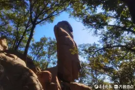 孙子今年十岁了图片