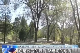 注意！猎捕麻雀、野兔等“三有”动物违法 甚至会被追刑责图片