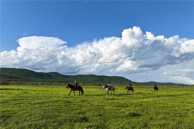 多样体验激发消费活力  “岭上兴安”暑期旅游人气旺