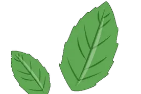 一图快速读懂2025年上海市公有住房适龄儿童小学报名流程图片