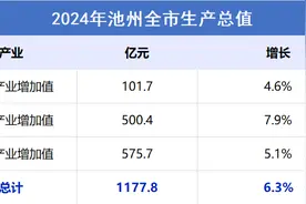 2024池州经济“成绩单”公布：1177.8亿元！增长6.3%图片
