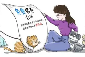 免费领养宠物，当心其中猫腻图片