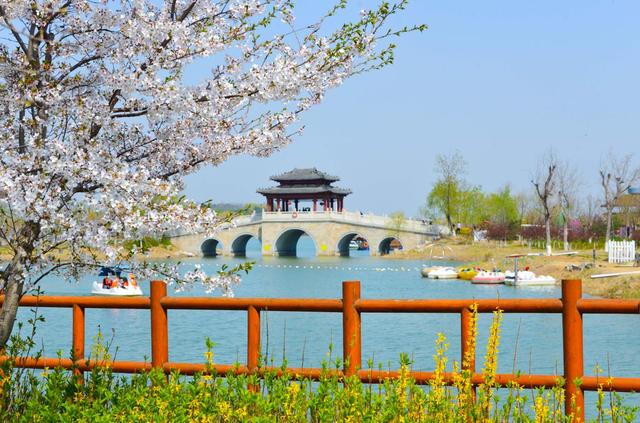 春假邂逅清明花事 山东文旅景区邀你共赴“花式”春日盛宴