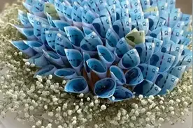 小伙和女友吵架高空扔下3.6斤现金花束，被提起公诉视频封面