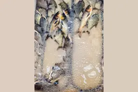 长沙郊区赶集指南：在长沙城郊的集市上，找到春天的“入场券”图片