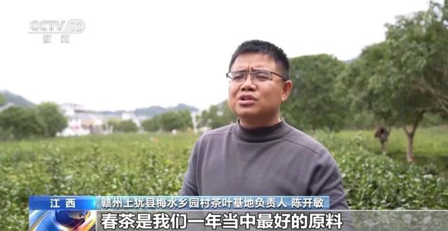 央视安利！“寻味地图”上新，来大理吃海菜花啦