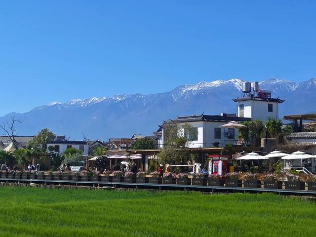 春风入大理，这10件事不负好春光