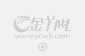 农夫山泉新年首场寻源落地长白山，近百位南方人北上品雪图片