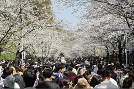 热搜第一！南京这个地方，天还没亮就全是人……图片