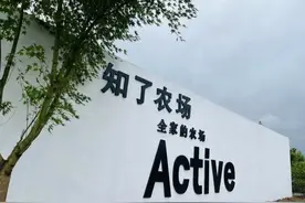 崇明这个村大力培育家门口产业，带动村民增收图片