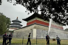 花粉困扰过敏人群，存量树木不能“一砍了之”丨周一健图片