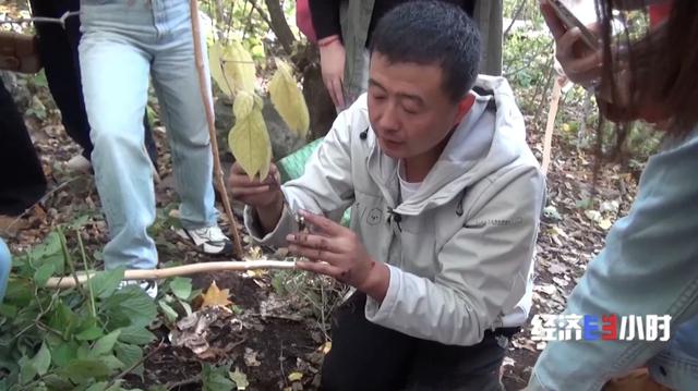 边境新公路如何跑出新“钱”途？