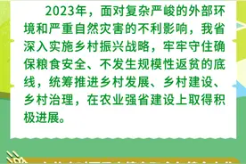 图说丨2023年河南“三农”成绩单图片