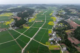 五个关键词看夏季粮油丰收基础稳图片