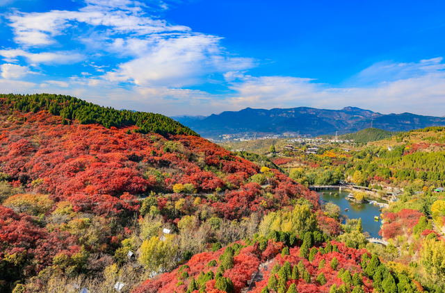 逛景区、看演艺、游乡村！济南假日文旅“玩法”多